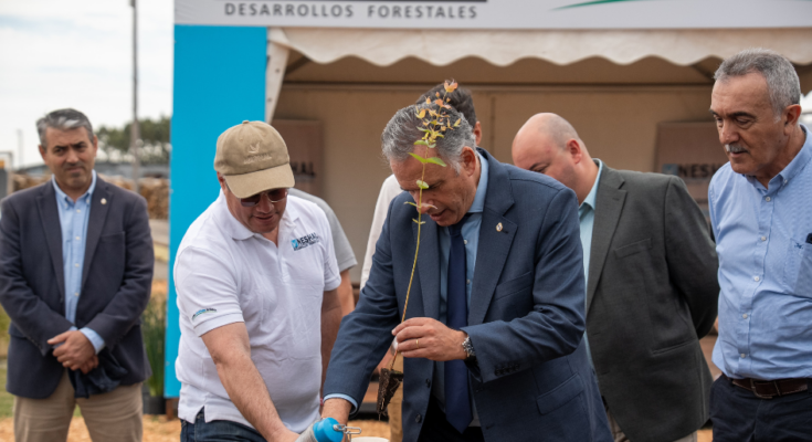 Presidente Orsi valoró el aporte de la industria forestal en el empleo y el desarrollo nacional