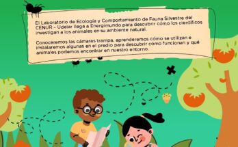 Energimundo y Udelar desarrollarán talleres sobre fauna silvestre y bienestar animal
