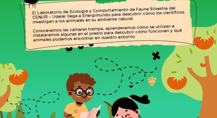 Energimundo y Udelar desarrollarán talleres sobre fauna silvestre y bienestar animal Energimundo y Udelar desarrollarán talleres sobre fauna silvestre y bienestar animal