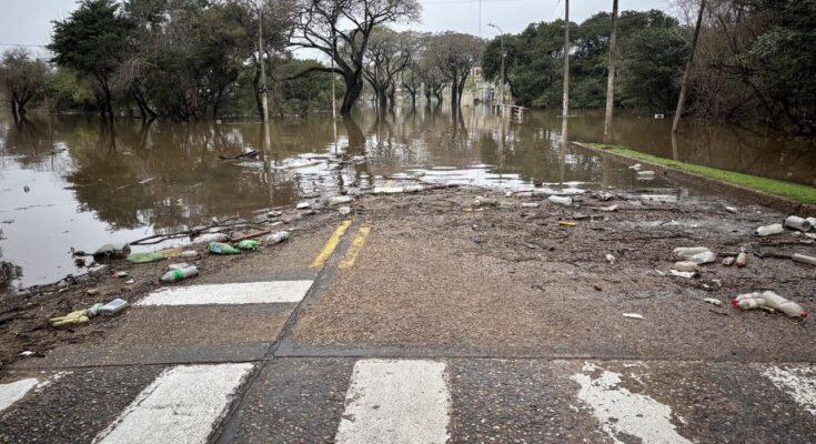 El Río Uruguay comenzó a descender y no se registraron evacuaciones en Salto