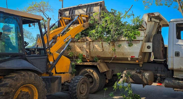 Recolección de restos de poda y chatarra en distintos barrios de Salto