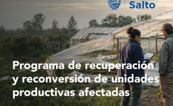 Gobierno de Salto activa una respuesta técnica, caso a caso, para productores afectados por la tormenta
