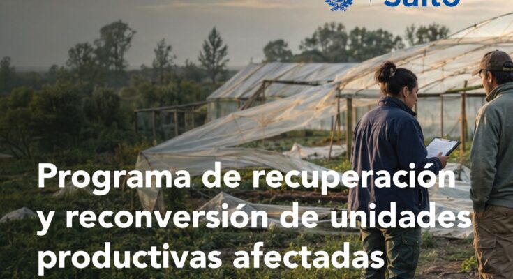 Gobierno de Salto activa una respuesta técnica, caso a caso, para productores afectados por la tormenta Gobierno de Salto activa una respuesta técnica, caso a caso, para productores afectados por la tormenta