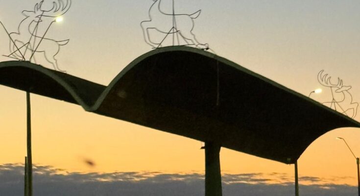 Retiran adornos festivos en calle Uruguay y zona de La Gaviota Retiran adornos festivos en calle Uruguay y zona de La Gaviota