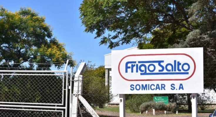 Oscar Larrosa explicó la situación de los trabajadores del Frigorífico Somicar