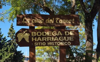 Salto celebra la Semana de Harriague con una nutrida agenda de actividades