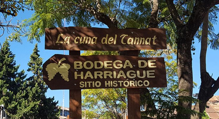 Salto celebra la Semana de Harriague con una nutrida agenda de actividades