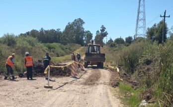 Prohibición de tránsito pesado en avenida Garibaldi por obras en alcantarilla
