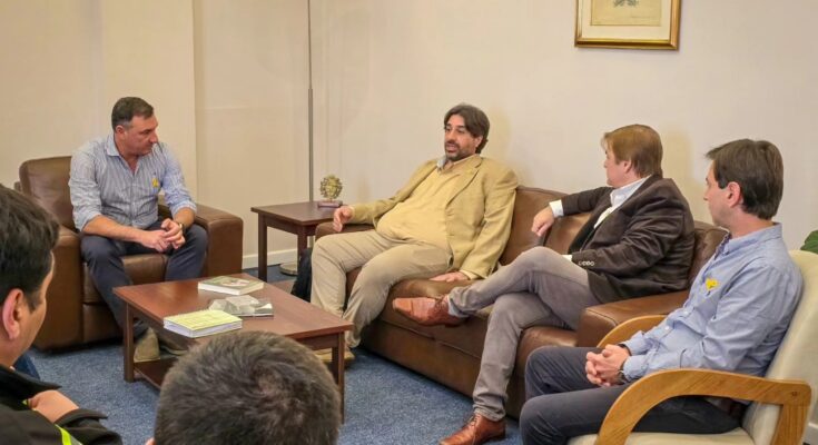 Seguridad vial: UNASEV y el Gobierno de Salto articulan medidas de prevención y concientización