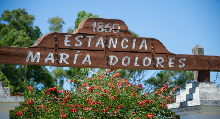 Colonización abrió llamado para ocupar predio en estancia María Dolores Colonización abrió llamado para ocupar predio en estancia María Dolores