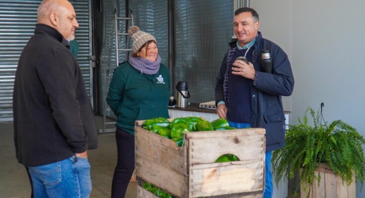 Albisu recorrió la Central Hortícola del Norte y destacó el positivo inicio de actividades