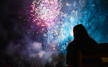 Fuegos artificiales en las fiestas: Ley 20.246 habilita a vender y usar pirotecnia con sonido inferior a 110 decibeles en todo el país