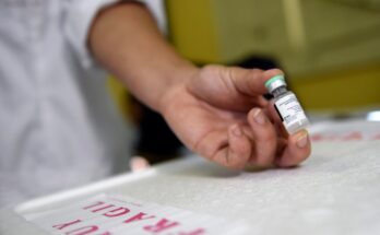 En el departamento de Maldonado se detectó un caso de virus de la Rabia en un murciélago