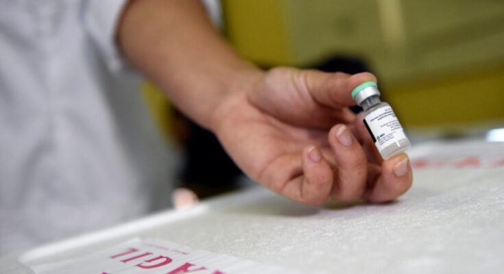 En el departamento de Maldonado se detectó un caso de virus de la Rabia en un murciélago