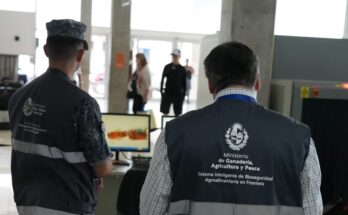 Ganadería refuerza controles de productos de origen animal y vegetal en pasos de frontera durante Semana de Turismo