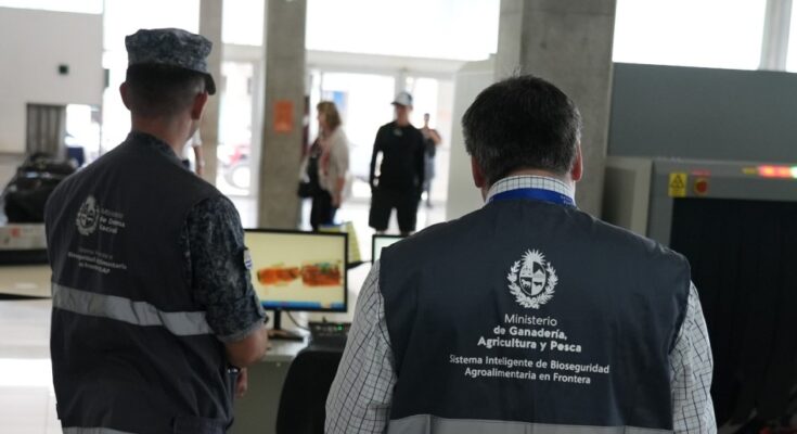 Ganadería refuerza controles de productos de origen animal y vegetal en pasos de frontera durante Semana de Turismo