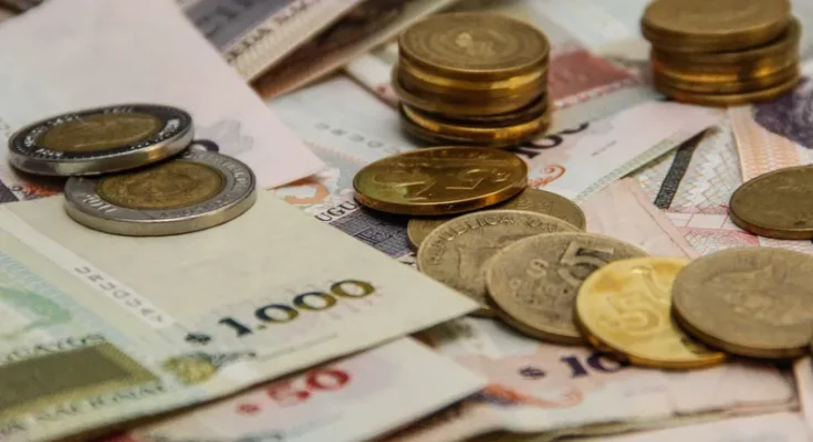 El Gobierno fijó el valor del Salario Mínimo Nacional que comenzará a regir a partir del 1º de enero