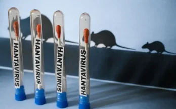 Qué se sabe del viaje por Argentina, Chile y Uruguay de los turistas que presentaron los primeros síntomas de hantavirus en el crucero y luego murieron