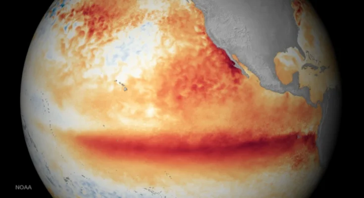 Los océanos del planeta alcanzan la temperatura media más alta jamás registrada mientras El Niño se intensifica Los océanos del planeta alcanzan la temperatura media más alta jamás registrada mientras El Niño se intensifica
