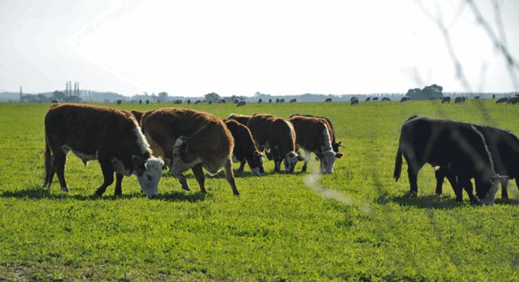 Uruguay y Brasil crearon unidad mixta de investigación agropecuaria Uruguay y Brasil crearon unidad mixta de investigación agropecuaria