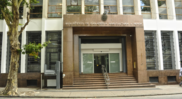 MGAP declaró emergencia agropecuaria por déficit hídrico en varias zonas MGAP declaró emergencia agropecuaria por déficit hídrico en varias zonas