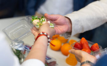 Campaña de comunicación sensibilizará sobre plaga que afecta a cítricos