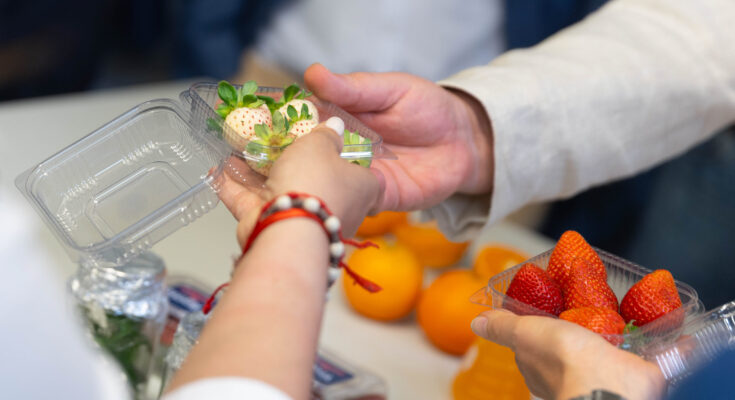 Campaña de comunicación sensibilizará sobre plaga que afecta a cítricos