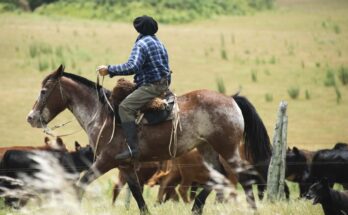 BROU aprobó asistencia a productores afectados por la sequía