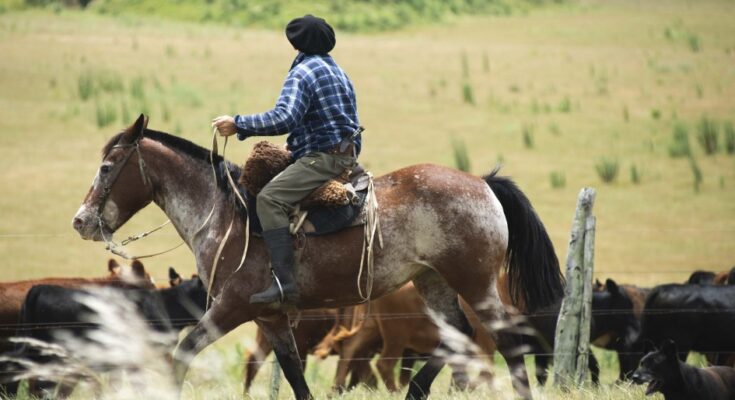 BROU aprobó asistencia a productores afectados por la sequía BROU aprobó asistencia a productores afectados por la sequía