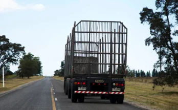 Alertan por pérdida de más de 100.000 empleos en el sector del transporte