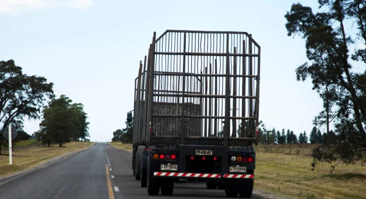 Alertan por pérdida de más de 100.000 empleos en el sector del transporte
