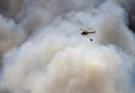 Incendio forestal en Portugal arrasa más de 13.000 hectáreas