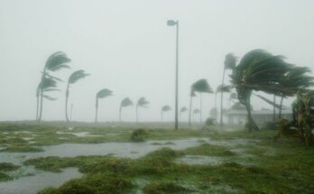 Meteorólogo anunció lluvia y viento, y dijo que tormentas son “anticipo” de lo que viene