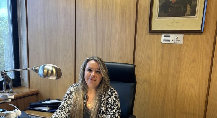 Diputada Natalia Pigurina cuestionó en Cámara el nuevo gravamen a compras por plataformas digitales