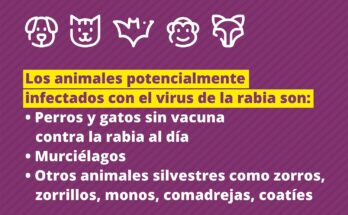 Policlínico Veterinario sede Salto Udelar informa ante posibles casos de rabia