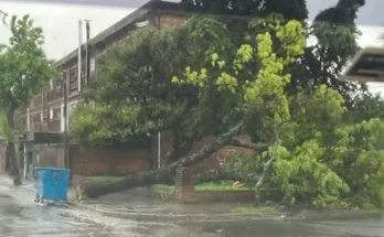 VIDEOS: Colonia y Paysandú, los departamentos más afectados por el temporal de viento y lluvias