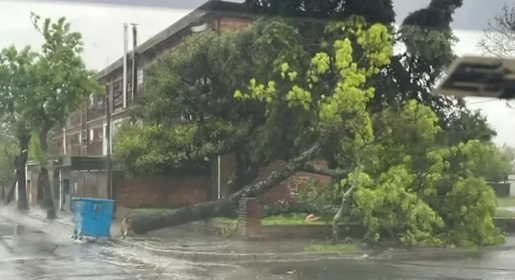 VIDEOS: Colonia y Paysandú, los departamentos más afectados por el temporal de viento y lluvias VIDEOS: Colonia y Paysandú, los departamentos más afectados por el temporal de viento y lluvias